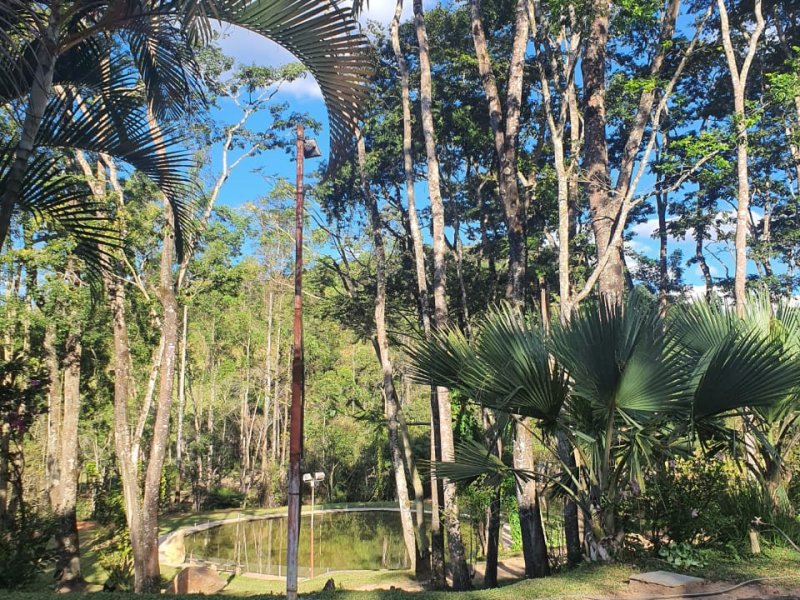 Sítio à venda Nossa Sra. de Fátima com 70000m² e 7 quartos por R$ 1.100.000 - 259754170-whatsapp-image-2020-04-27-at-17.jpeg