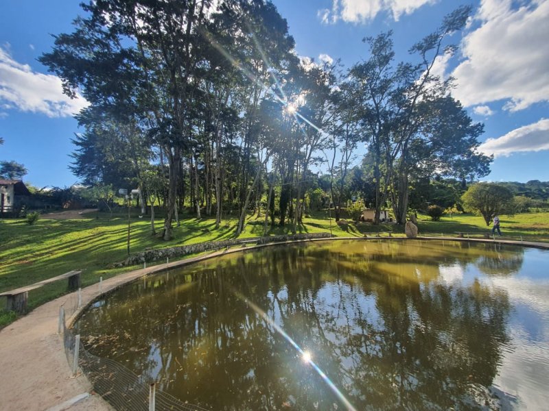 Sítio à venda Nossa Sra. de Fátima com 70000m² e 7 quartos por R$ 1.100.000 - 340707521-whatsapp-image-2020-04-27-at-17.jpeg