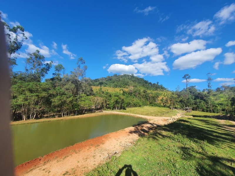 Sítio à venda Nossa Sra. de Fátima com 70000m² e 7 quartos por R$ 1.100.000 - 371052651-whatsapp-image-2020-04-27-at-17.jpeg