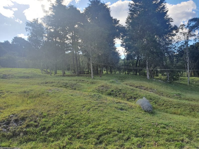Sítio à venda Nossa Sra. de Fátima com 70000m² e 7 quartos por R$ 1.100.000 - 378787457-whatsapp-image-2020-04-27-at-17.jpeg
