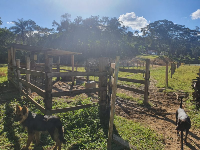 Sítio à venda Nossa Sra. de Fátima com 70000m² e 7 quartos por R$ 1.100.000 - 488561604-whatsapp-image-2020-04-27-at-17.jpeg