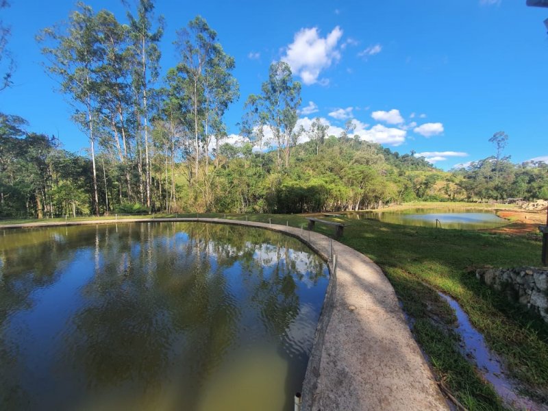 Sítio à venda Nossa Sra. de Fátima com 70000m² e 7 quartos por R$ 1.100.000 - 634024944-whatsapp-image-2020-04-27-at-17.jpeg