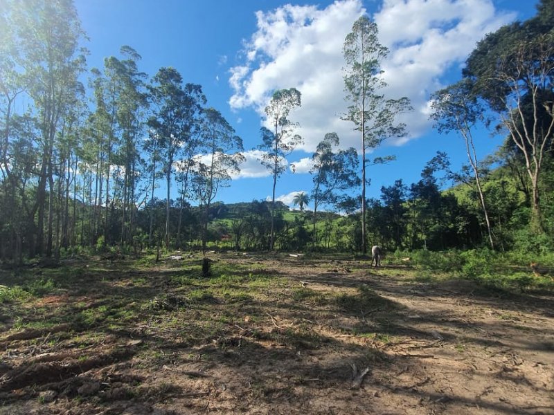 Sítio à venda Nossa Sra. de Fátima com 70000m² e 7 quartos por R$ 1.100.000 - 813298671-whatsapp-image-2020-04-27-at-17.jpeg