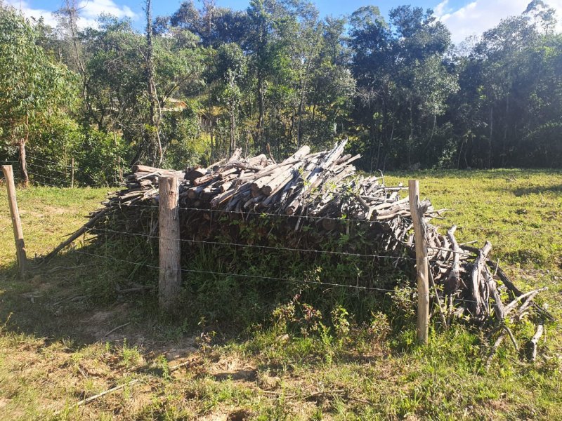 Sítio à venda Nossa Sra. de Fátima com 70000m² e 7 quartos por R$ 1.100.000 - 932390538-whatsapp-image-2020-04-27-at-17.jpeg