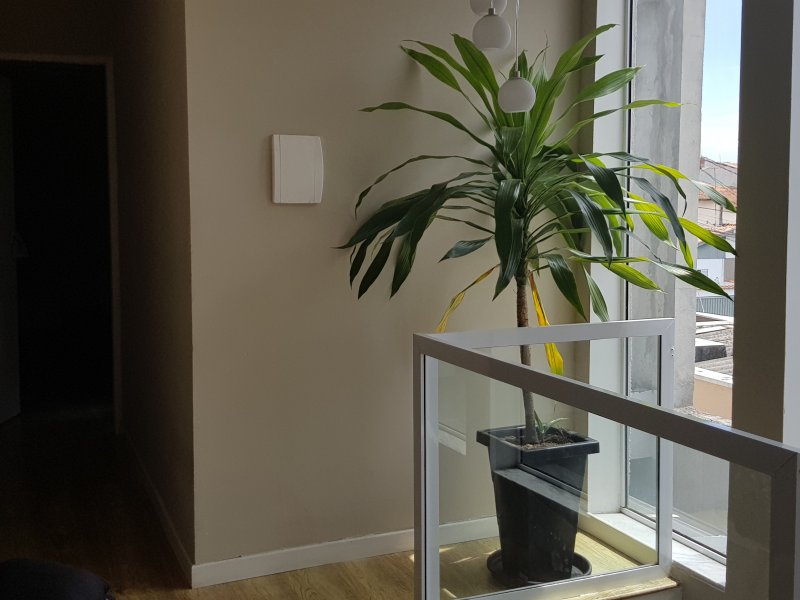 Casa à venda Jardim Universo com 300m² e 4 quartos por R$ 600.000 - 1128344863-11.jpg