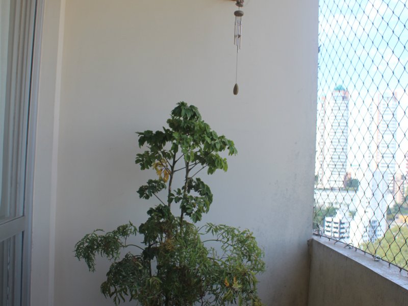 Apartamento à venda Vila Andrade com 70m² e 2 quartos por R$ 300.000 - 1788078100-0db8b0bc-c73f-4cbc-92ac-7460ff4cdddf.jpeg