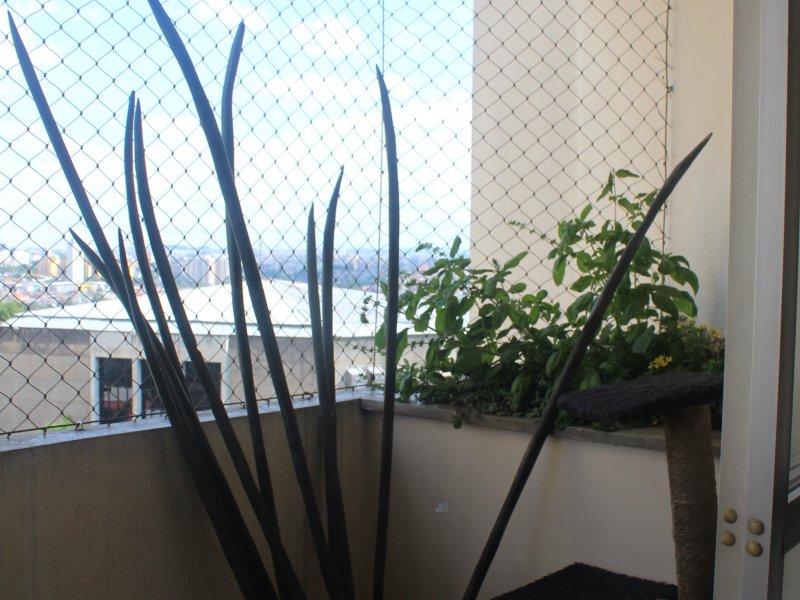 Apartamento à venda Vila Andrade com 70m² e 2 quartos por R$ 300.000 - 1816633157-6c03ecd0-14c5-408c-9002-c4c139ecb664.jpeg