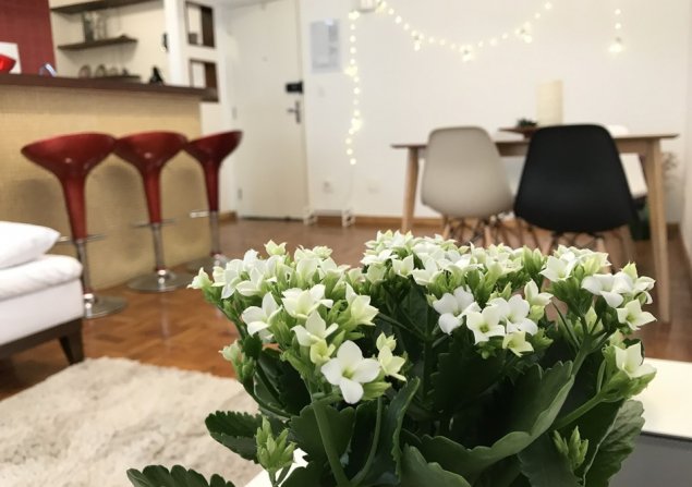 imóvel com 57m²