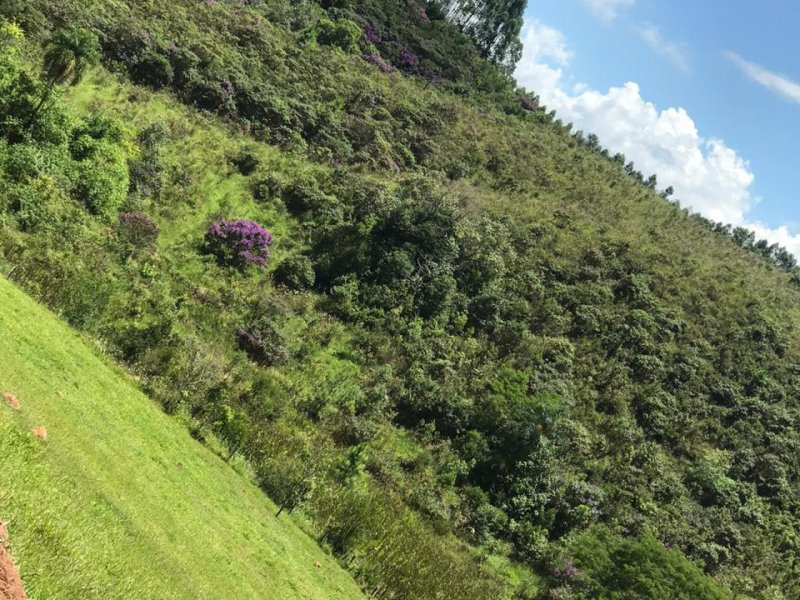 Terreno à venda centro com 1000m² e  quartos por R$ 75.000 - 1424857236-terrenos-em-santa-isabel-43.jpg