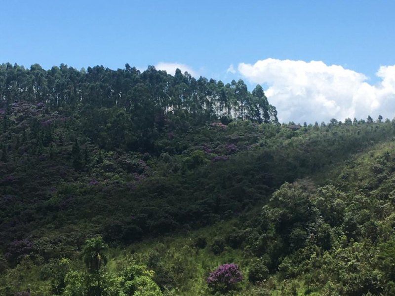 Terreno à venda centro com 1000m² e  quartos por R$ 75.000 - 547154072-terrenos-em-santa-isabel-55.jpg