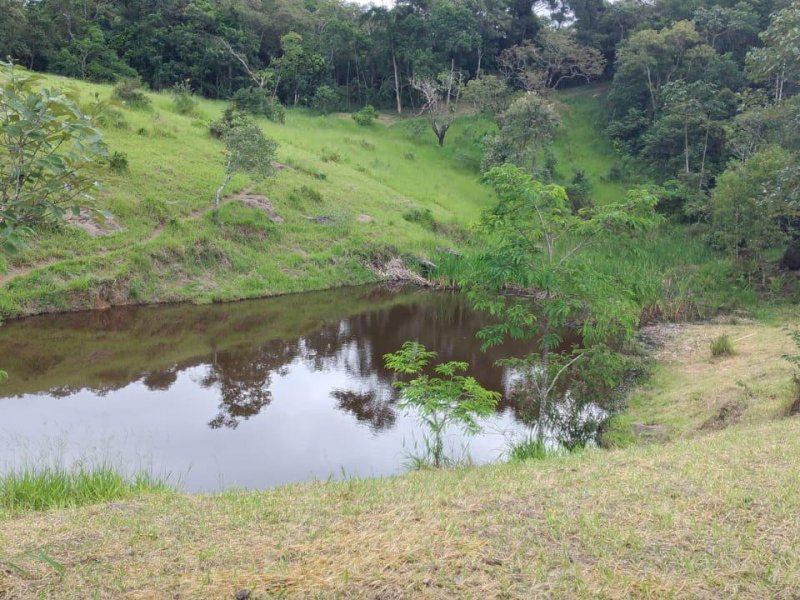 Terreno à venda centro com 1000m² e  quartos por R$ 75.000 - 927505807-terrenos-em-santa-isabel-65.jpg