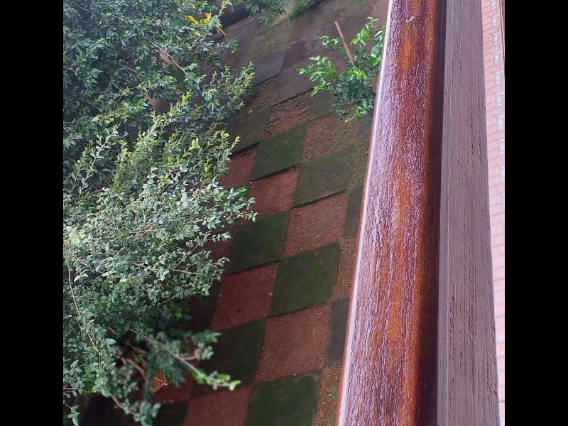 Casa à venda Jardim Riacho das Pedras com 320m² e 5 quartos por R$ 1.200.000 - 560406234-quintal-9.jpeg