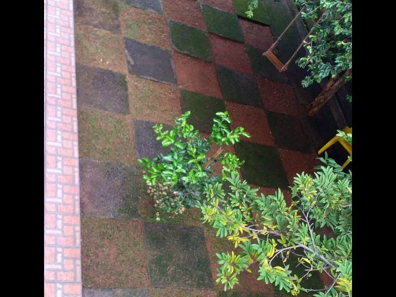 Casa à venda Jardim Riacho das Pedras com 320m² e 5 quartos por R$ 1.200.000 - 965256109-quintal-7.jpeg