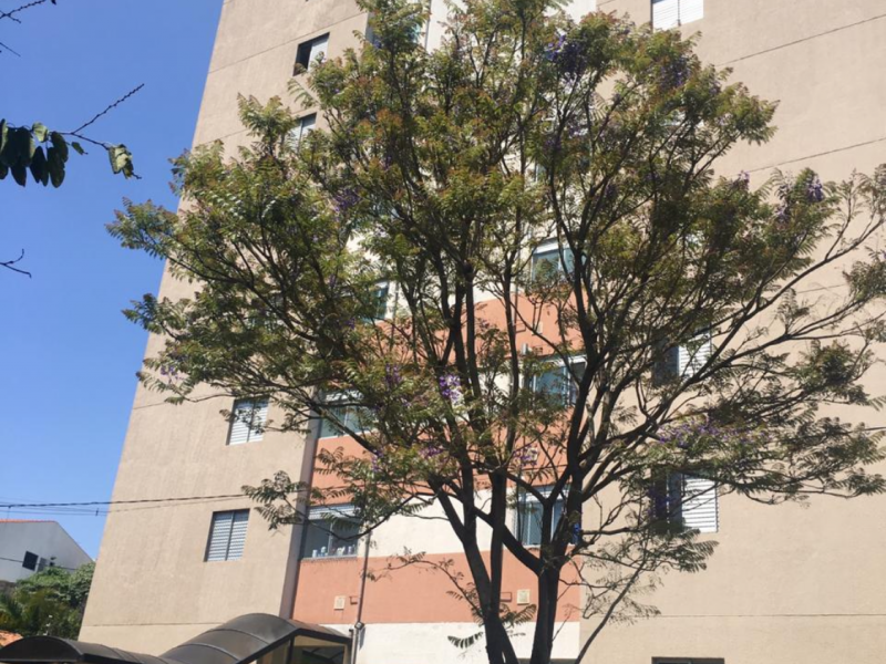 Apartamento à venda Vila Carrão com 55m² e 2 quartos por R$ 400.000 - 114447298-962a8537-5875-465e-a062-459ee1fade14.png