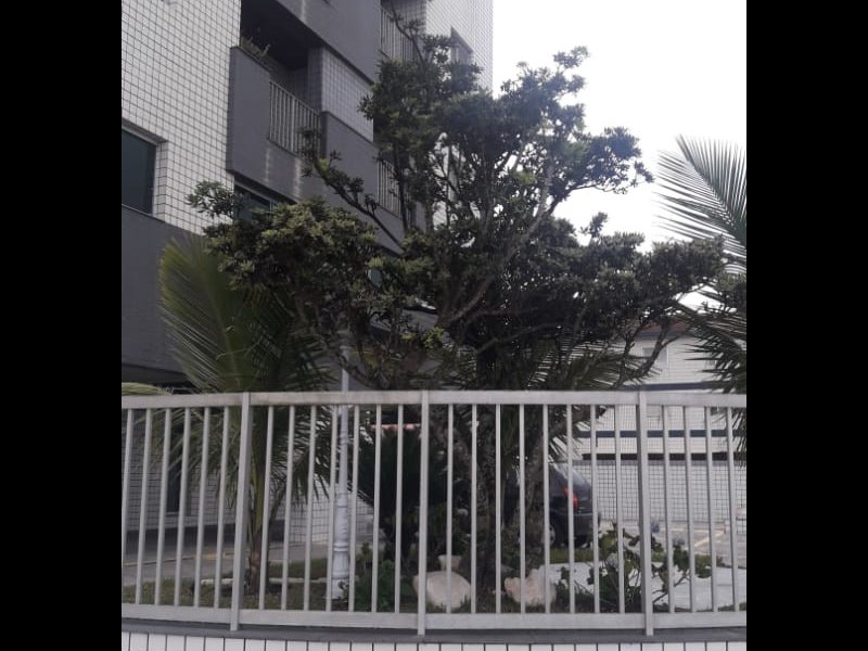 Apartamento à venda Vila Balnearia com 60m² e 1 quarto por R$ 290.000 - 342399373-img-20181203-wa0052.jpg