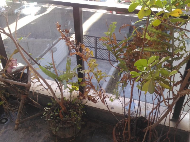 Apartamento à venda Pompéia com 155m² e 3 quartos por R$ 1.350.000 - 69827528-p-20200505-150928.jpg