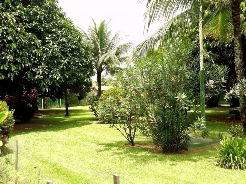 Chácara à venda Santa Candida com 650m² e 6 quartos por R$ 3.000.000 - 244524600-quintal-gramado.jpg