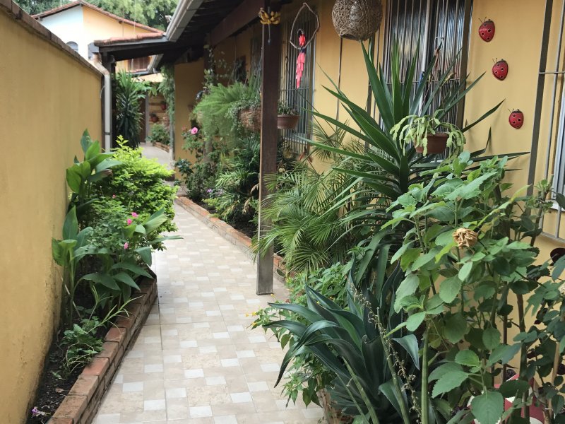 imóvel com 87m² - Santa Amélia - Belo Horizonte
