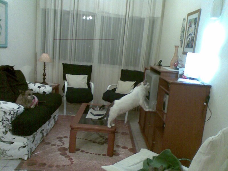 Apartamento à venda Baeta Neves com 92m² e 3 quartos por R$ 390.000 - 985946704-15062013001.jpg
