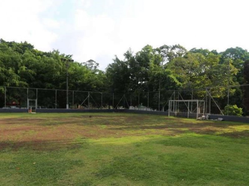 Apartamento à venda Jardim Jussara com 57m² e 2 quartos por R$ 335.000 - 1303672707-solar-ap-area-externa-8.jpg