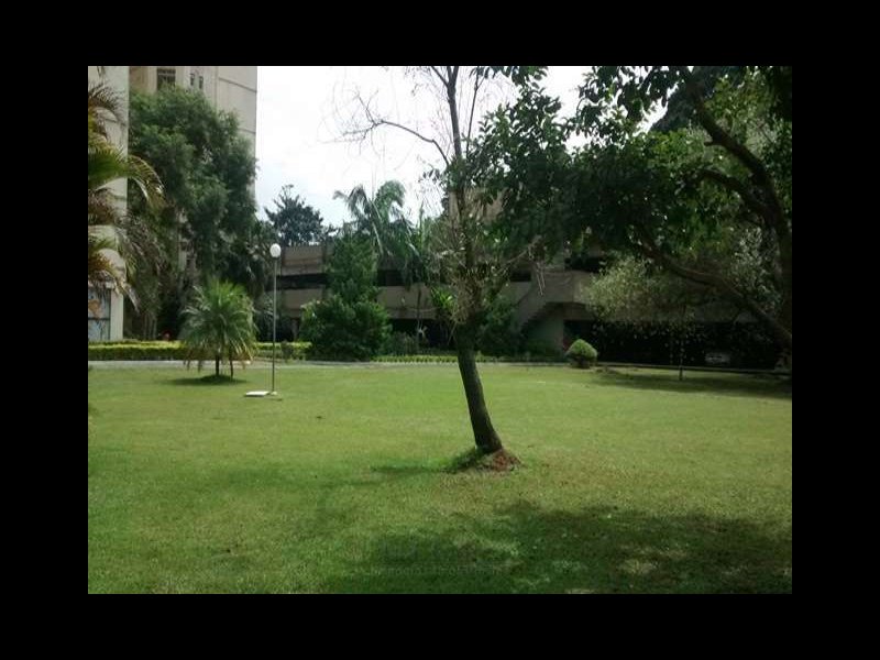 Apartamento à venda Jardim Jussara com 57m² e 2 quartos por R$ 335.000 - 191774641-solar-ap-area-externa-5.jpg