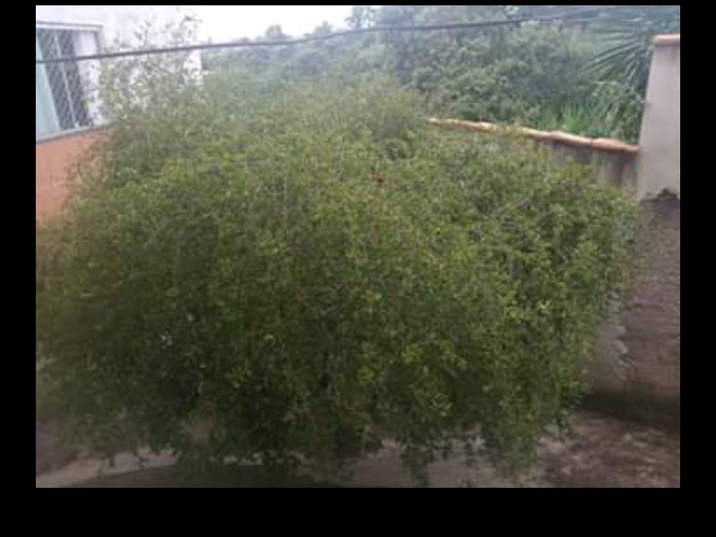 Casa à venda Ribeiro de Abreu com 360m² e 3 quartos por R$ 700.000 - 1942357715-screenshot-2020-05-10-15-41-13-789-com.jpg
