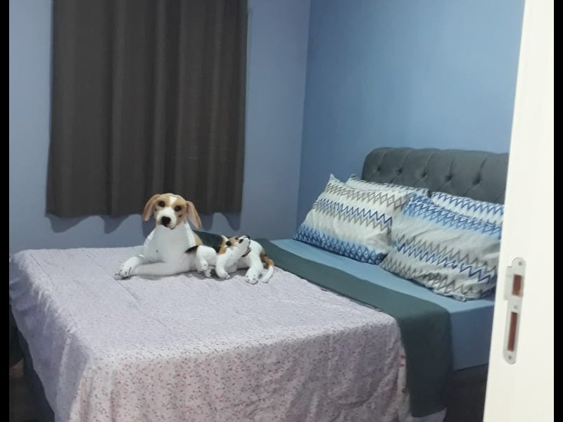 Apartamento à venda Mikail II com 98m² e 3 quartos por R$ 255.000 - 117070033-cobertura-7-403-quarto-casal-para-dentro.jpeg