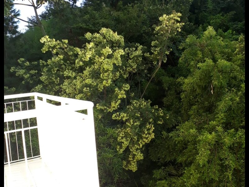 Apartamento à venda Mikail II com 98m² e 3 quartos por R$ 255.000 - 1224536280-cobertura-7-403-varanda-area-verde.jpeg