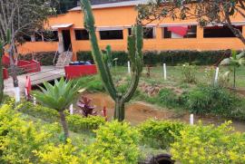 Chácara à venda CENTRO com 30m² - 100 dormitórios -  vagas - R$ 1.200.000 - 1406975682-img-20190126-wa0029.jpg