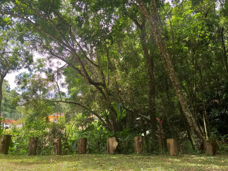 Chácara à venda CENTRO com 30m² e 100 quartos por R$ 1.200.000 - 1445336955-20190210-131411.jpg