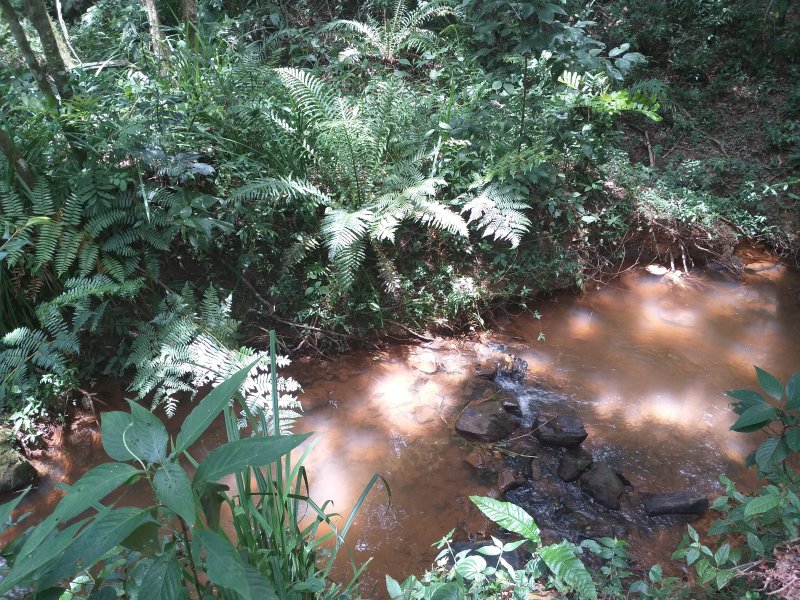Chácara à venda CENTRO com 30m² e 100 quartos por R$ 1.200.000 - 1870593167-20190210-131433.jpg