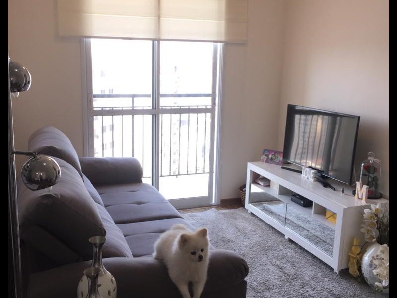 imóvel com 52m² - Vila Moreira - Guarulhos