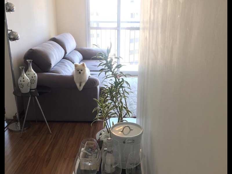 imóvel com 52m² - Vila Moreira - Guarulhos