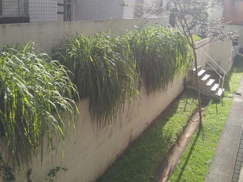 Apartamento à venda Vila Indiana com 43m² e 2 quartos por R$ 180 - 165477644-whatsapp-image-2020-05-11-at-18.jpeg