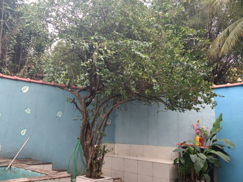 Casa de condomínio à venda Centro com 184m² e 5 quartos por R$ 1.100.000 - 2012990853-028.jpg