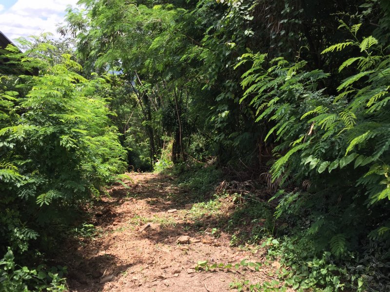 Terreno à venda Loteamento Caminhos de San Conrado (Sousas) com 1342m² e  quartos por R$ 500.000 - 426883866-011.jpg