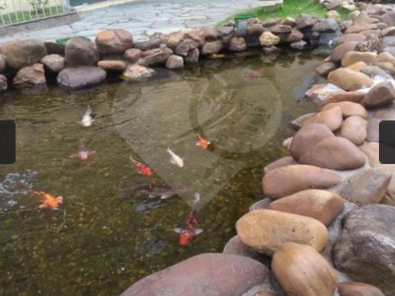 Apartamento à venda Parque São Luís com 48m² e 2 quartos por R$ 290.000 - 534003139-47f24e93-5016-41ce-9818-63d473f4dee9.jpeg