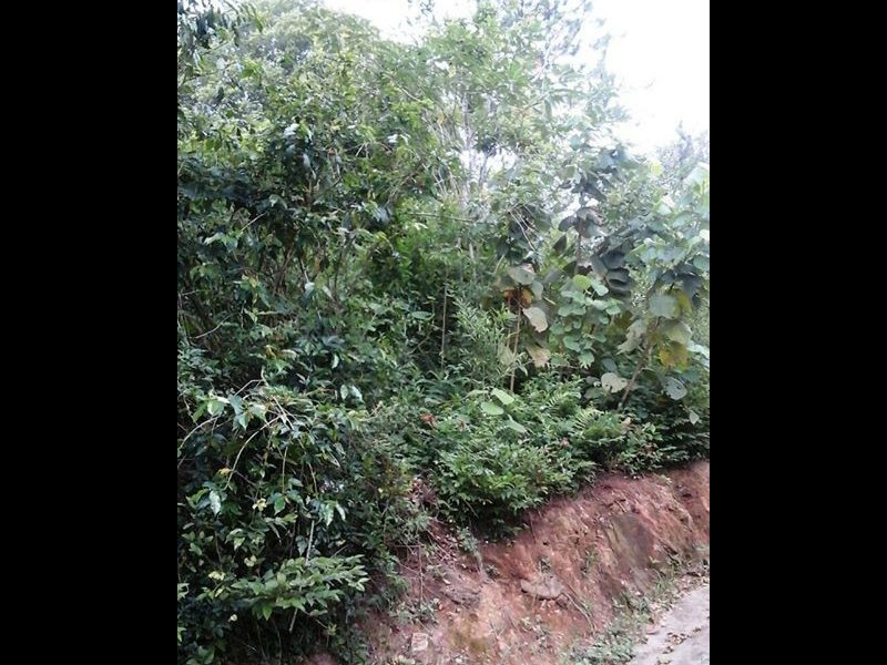 Terreno à venda Dos Pratas com 485m² e  quartos por R$ 50.000 - 1404318447-97518090-3194204540592274-4038085697163231232-n-1.jpg