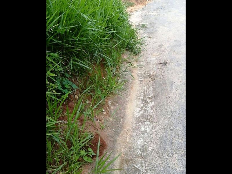 Terreno à venda Dos Pratas com 485m² e  quartos por R$ 50.000 - 1417325355-96860384-547867152830955-5135001863317356544-n-1.jpg