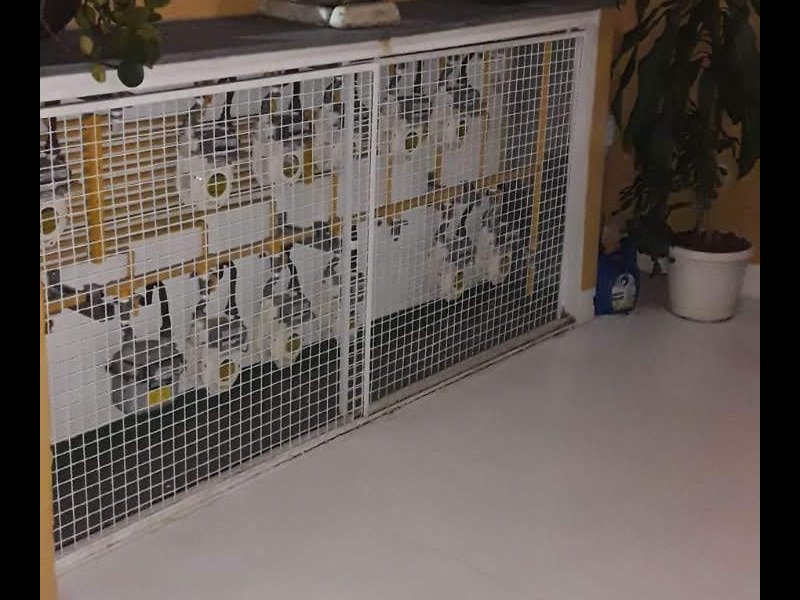 Apartamento à venda Vila Helena com 59m² e 2 quartos por R$ 265.000 - 239262476-save-20200514-191517.jpg