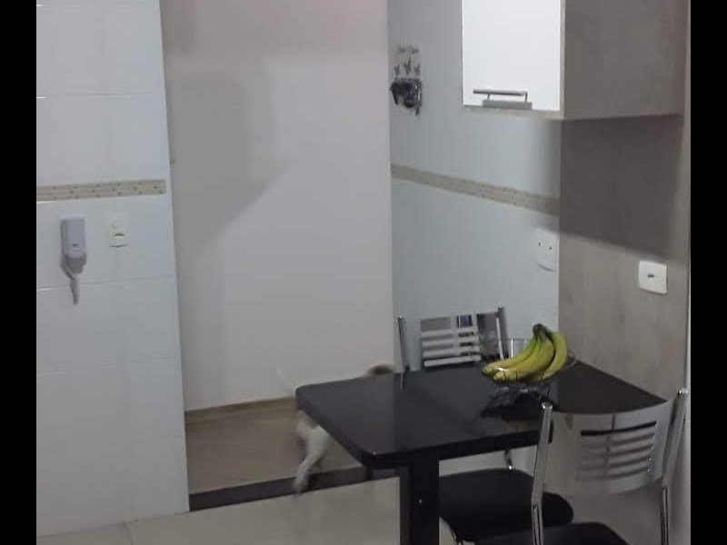 Apartamento à venda Vila Helena com 59m² e 2 quartos por R$ 265.000 - 343179444-img-20200114-wa0022.jpg