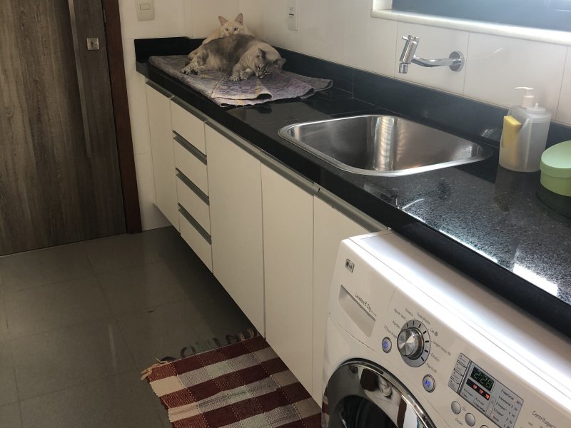 Apartamento à venda Anchieta com 107m² e 3 quartos por R$ 1.270.000 - 1709643919-466a0e30-775a-4b5a-8422-e63fc7e99b0b.jpeg