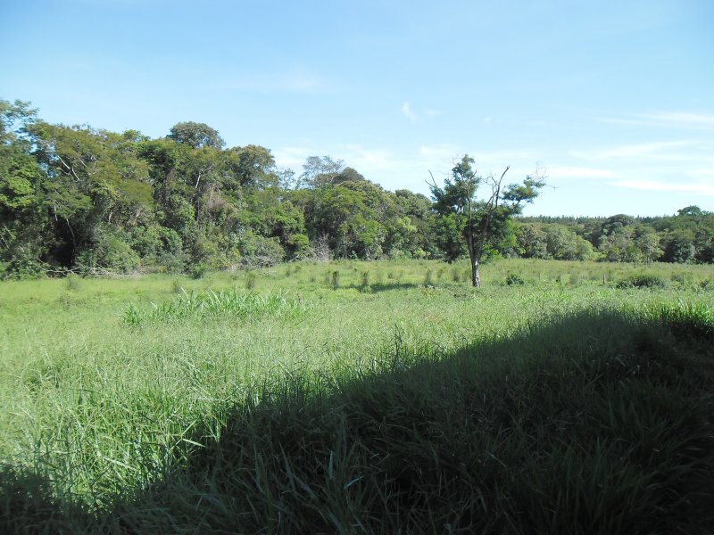 imóvel com 22m² - Centro - Manduri
