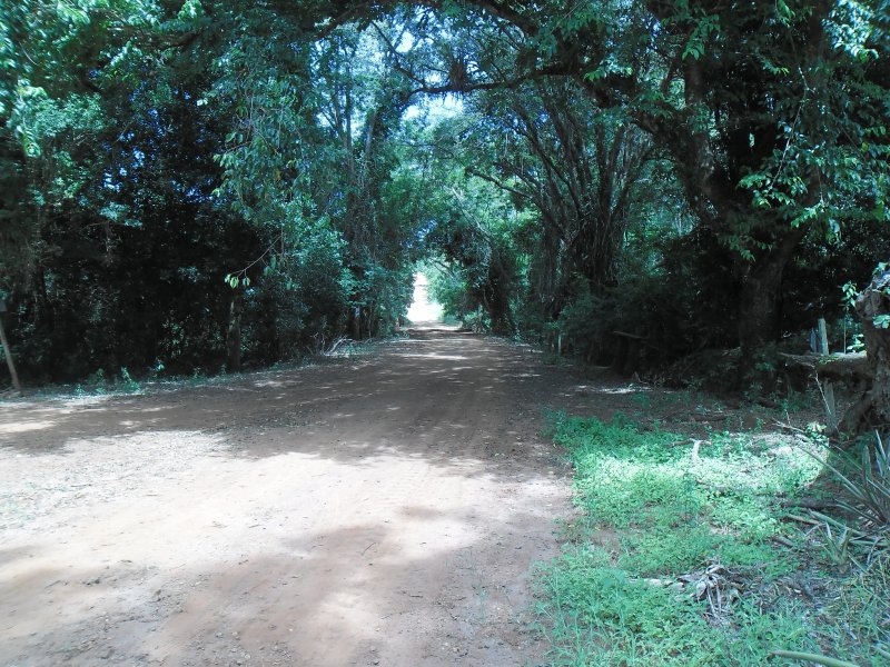 imóvel com 22m² - Centro - Manduri
