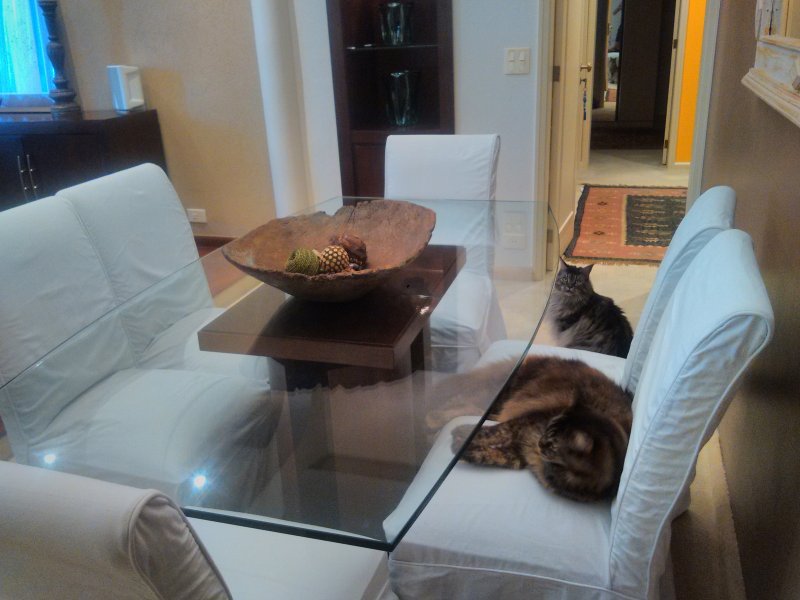 Apartamento à venda Tijuca com 170m² e 2 quartos por R$ 1.350.000 - 1640915186-img-20180208-174728.jpg