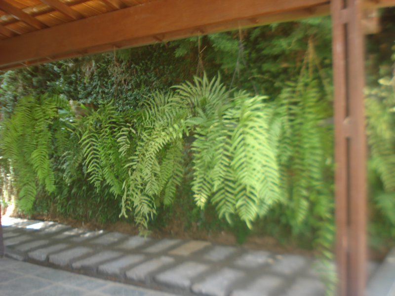 Casa à venda Cascatinha com 280m² e 4 quartos por R$ 705.000 - 414174524-dsc09892.JPG