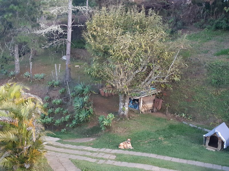 Casa à venda Cascatinha com 280m² e 4 quartos por R$ 705.000 - 75634358-20200510-155010.jpg