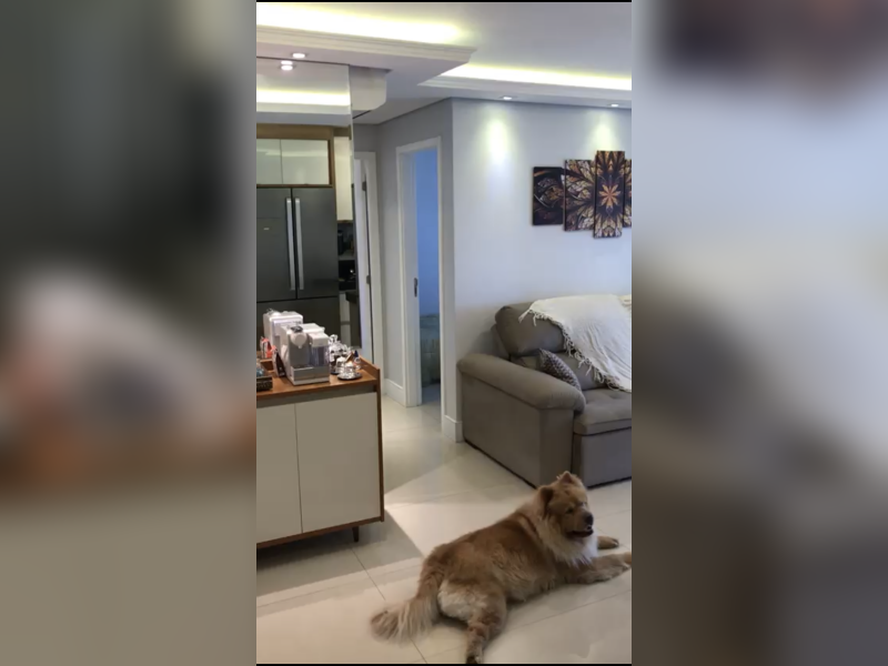 Apartamento à venda Vila Andrade com 60m² e 2 quartos por R$ 575.000 - 4517694a-fa97-4e3f-9cf7-9262e09414a5.png