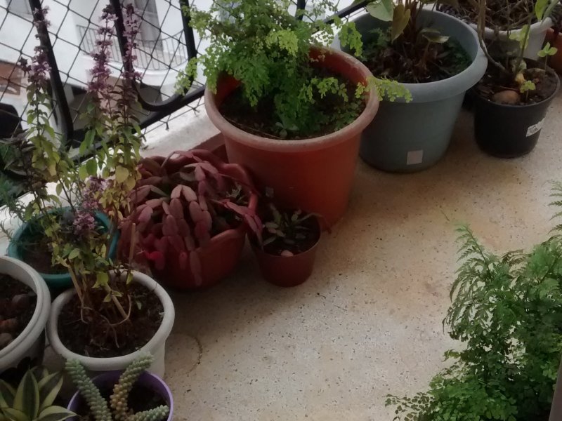 Apartamento à venda Vila Bela com 50m² e 2 quartos por R$ 320.000 - 617698521-img-20190805-141122865.jpg