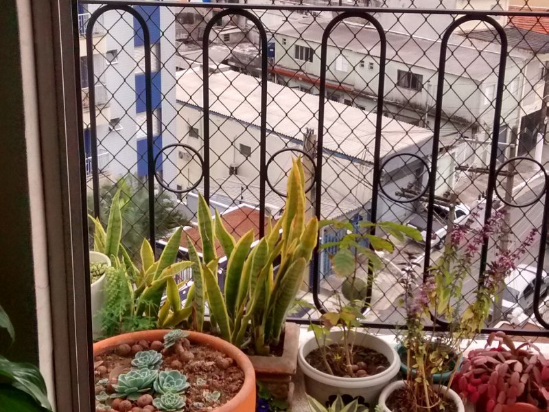Apartamento à venda Vila Bela com 50m² e 2 quartos por R$ 320.000 - 803888326-img-20190805-141105999-hdr.jpg